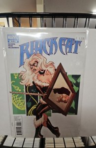 Amazing Spider-Man Presents: Black Cat #4 (2010)