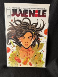 Juvenile #1 (2024) Image Comics, Jesus Orellana Cover, 1st Print