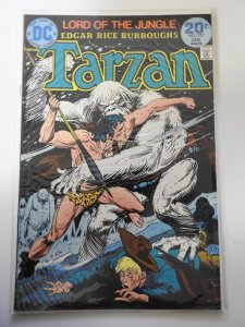 Edgar Rice Burroughs' Tarzan #227 (1974)