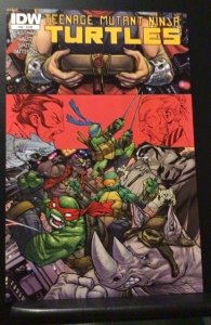 Teenage Mutant Ninja Turtles #49 (2015)