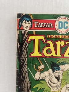 Tarzan #244 DC