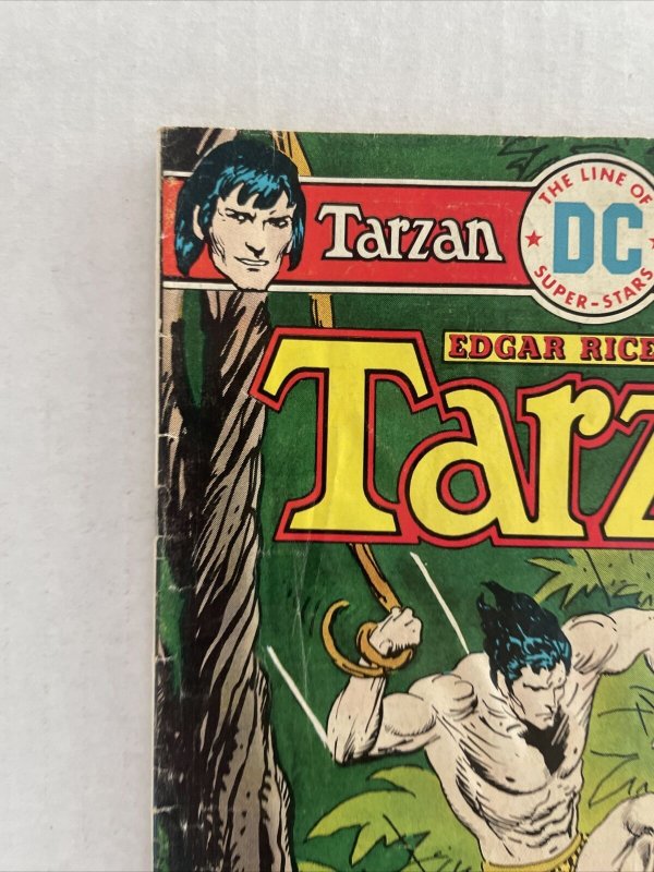 Tarzan #244 DC