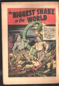 Buster Brown  #13 1940's-Smilin' Ed-snake terror story-shark story-G/VG