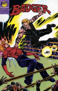 Badger #30 VF ; First | Mike Baron