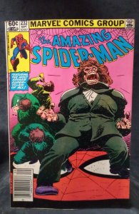 The Amazing Spider-Man #232 (1982)