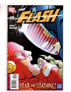 The Flash #238 >>> 1¢ Auction! See More! (ID#338)