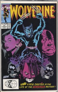 Wolverine #31 (1990) Wolverine