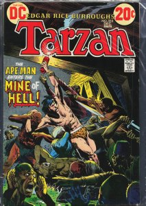 Edgar Rice Burroughs' Tarzan #215 (1972)