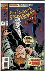 The Spectacular Spider-Man #205 (1993) Spider-Man