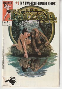 Tarzan of the Apes # 1,2  Edgar Rice Buroughs' Most Popular Character !