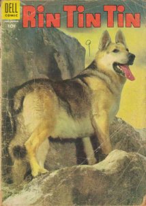 Rin Tin Tin #9 VG ; Dell | low grade comic June 1955 dog