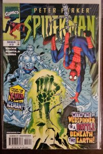 Peter Parker: Spider-Man #3 (1999)