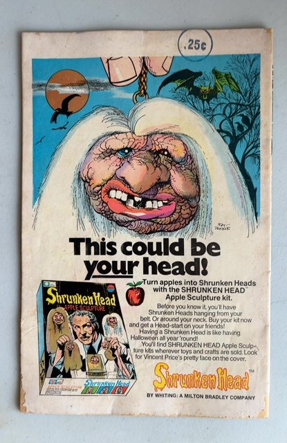 The Flash #238 (1975)