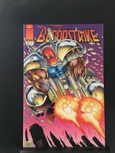 Bloodstrike #13 (1994)