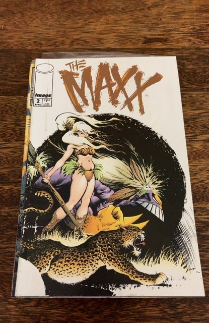 The Maxx #2 (1993)