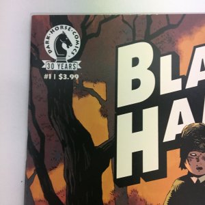 Black Hammer #1 1st Printing Regular Cover Lemire Multiple 1st Appearances