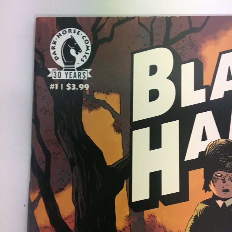 Black Hammer #1 1st Printing Regular Cover Lemire Multiple 1st Appearances