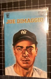 Joe Dimaggio (1992)  