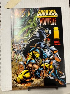 Badrock/Wolverine • Image/Marvel Comics • Chap Yaep Cover • 1996 VF/NM