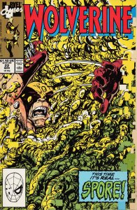 Wolverine #22 (1990) Wolverine
