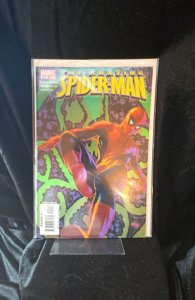 The Amazing Spider-Man #524 (2005)  