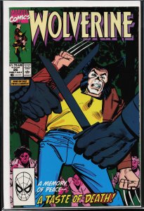 Wolverine #26 (1990) Wolverine