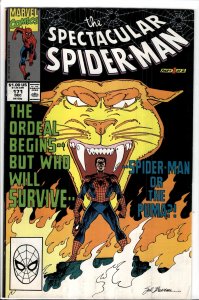 The Spectacular Spider-Man #171 (1990) Spider-Man