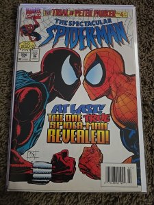 The Spectacular Spider-Man #226 The Trial Of Peter Parker Part 4 Of 4 (1995)