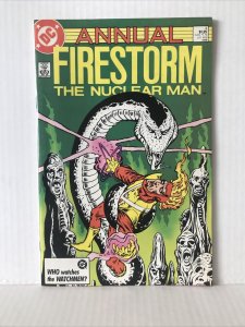 The Fury Of Firestorm The Nuclear Man Annual #4 
