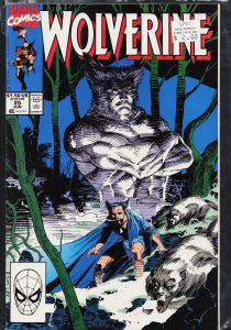 Wolverine #25 (1990) Wolverine