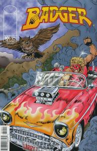 Badger (Vol. 3) #10 VF ; Image | Mike Baron Penultimate Issue