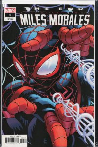 Miles Morales: The End Variant Cover (2020) Spider-Man