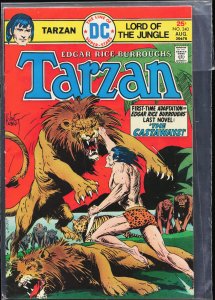 Edgar Rice Burroughs' Tarzan #240 (1975)