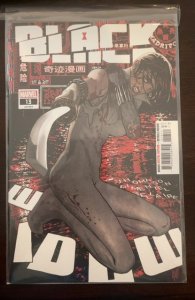 Black Widow #13 (2022)  