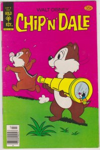 Chip 'n' Dale #53 (1978)