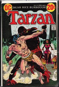 Edgar Rice Burroughs' Tarzan #217 (1973)