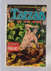 Tarzan #208 - A Son's Vengeance! (6.0) 1972