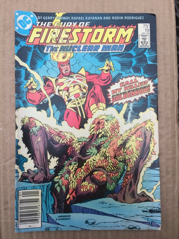 The Fury of Firestorm #19 (1984)