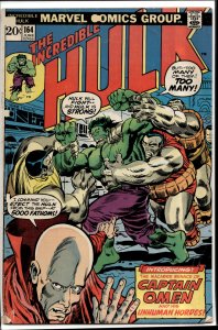 The Incredible Hulk #164 (1973) Hulk