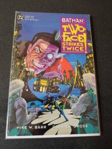 Batman Two-Face Strikes Twice Book #2 DC Graphic Novel Robin Mike W Barr