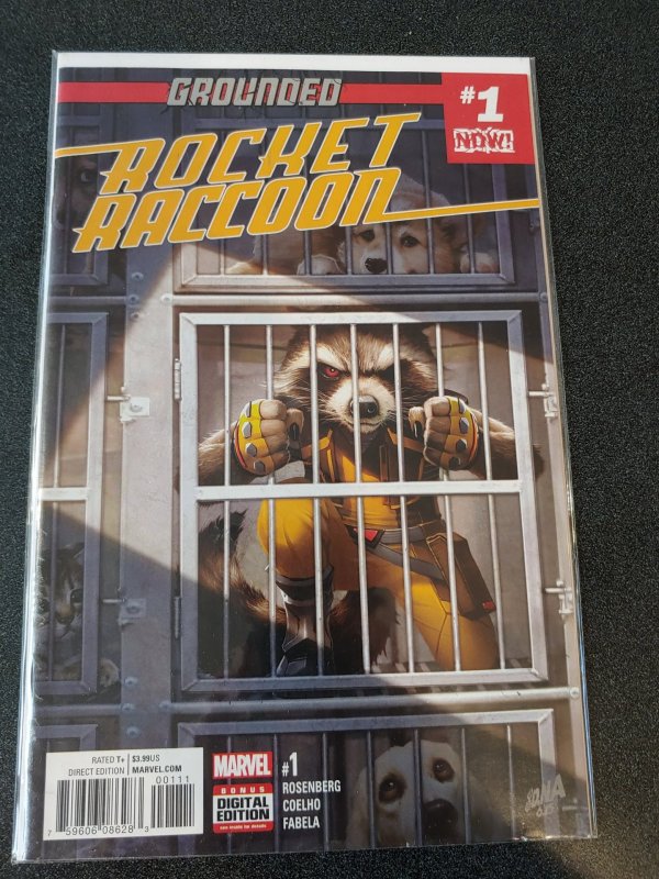 ​Grounded Rocket Raccoon #1 NM