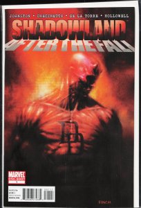 Shadowland: After the Fall (2011)