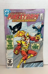 The Fury of Firestorm #29 (1984)