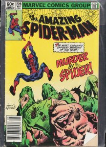 The Amazing Spider-Man #228 (1982) Spider-Man