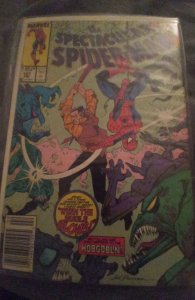 The Spectacular Spider-Man #147 (1989) Spider-Man 
