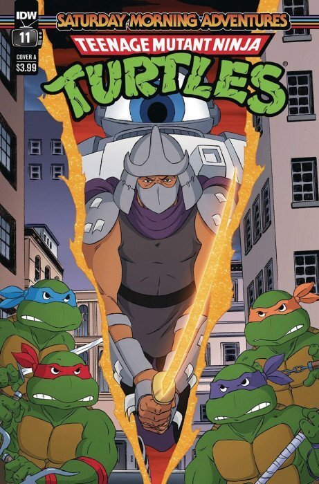 Teenage Mutant Ninja Turtles: Saturday Morning Adventures Continued #11A VF/NM ;