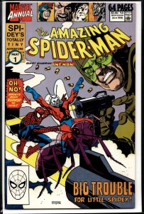 The Amazing Spider-Man Annual #24 (1990) Spider-Man