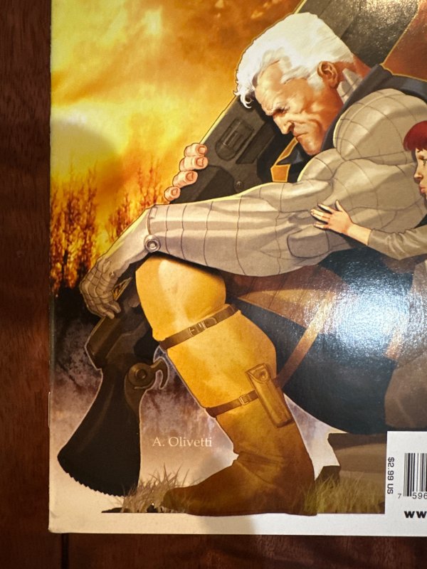 Cable #12 (2009)