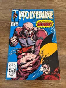 Lot Of 3 Wolverine Marvel Comic Books # 18 19 20 VF-NM X-Men 6 J382