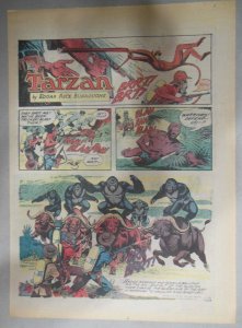 (49/52) Tarzan Sunday Pages  by Russ Manning from 1975 All Tabloid Page Size!